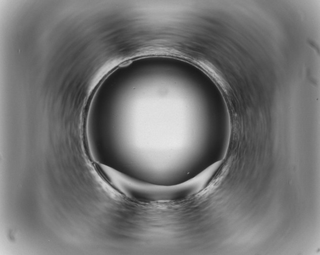 X0000094231438200710261248