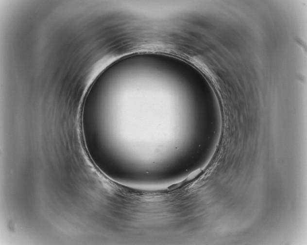 X0000094231440200710261248