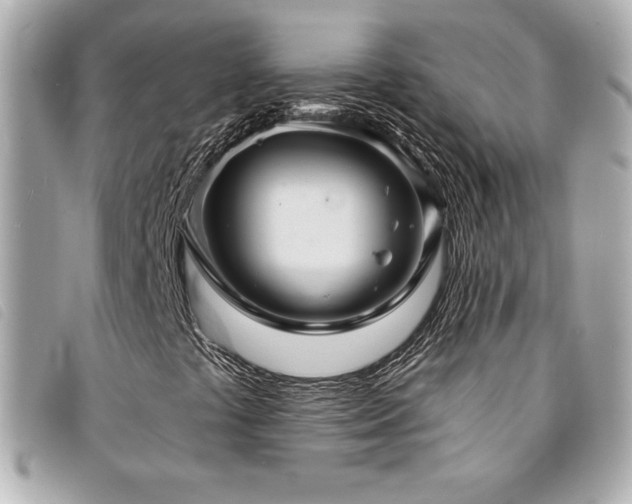 X0000094231441200710261247