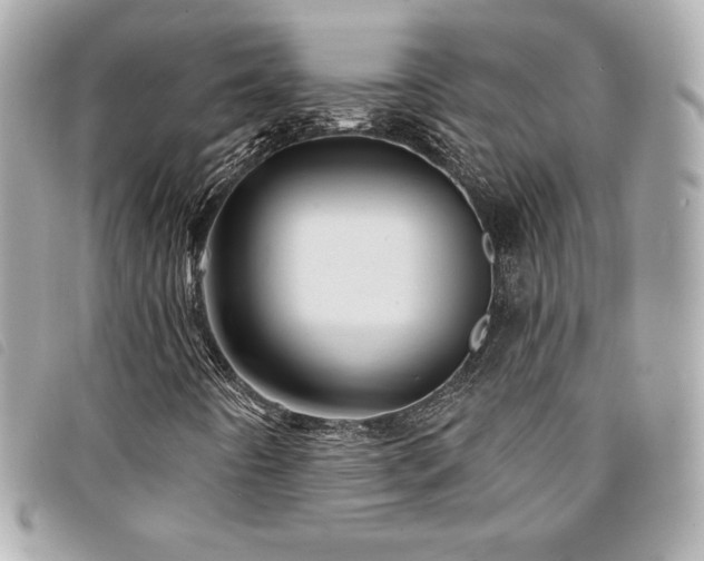 X0000094231442200710261247