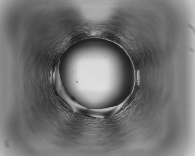 X0000094231443200710261247