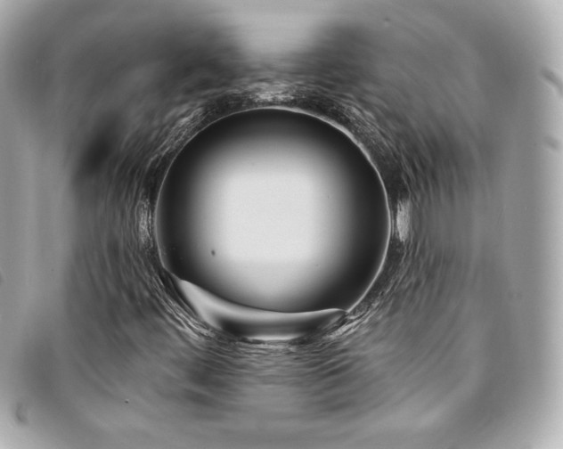X0000094231444200710261247