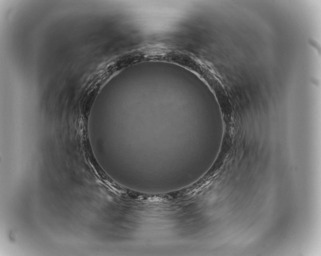 X0000094231445200710261247