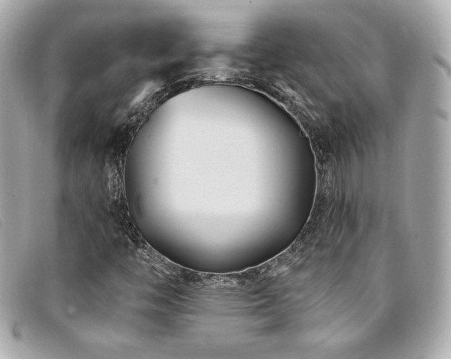 X0000094231446200710261247