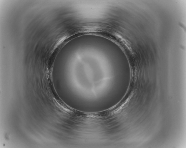 X0000094231449200710261247