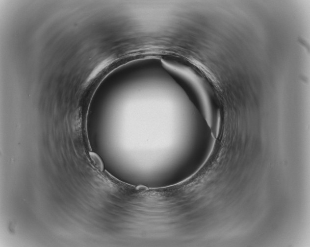 X0000094231450200710261247