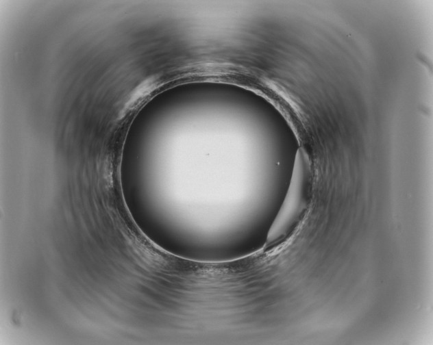 X0000094231451200710261247
