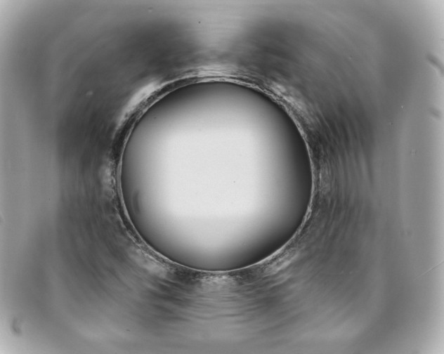 X0000094231454200710261247