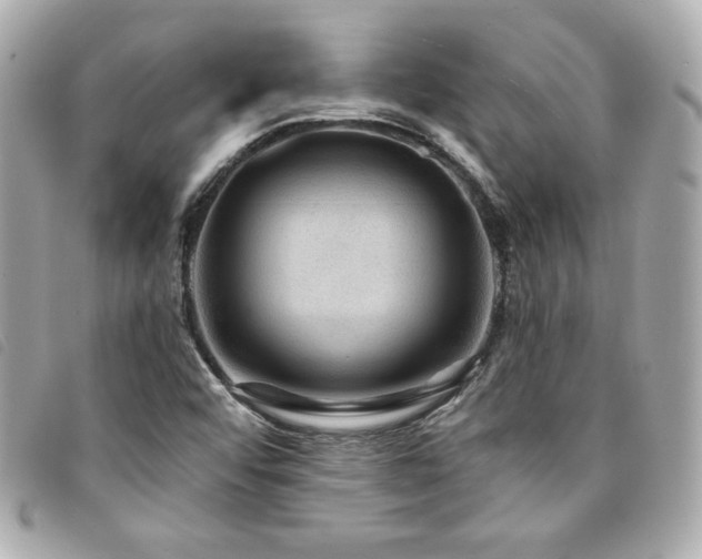 X0000094231456200710261247