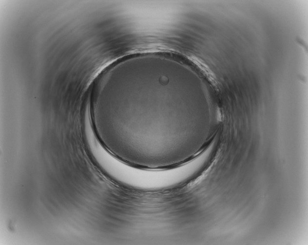 X0000094231457200710261247