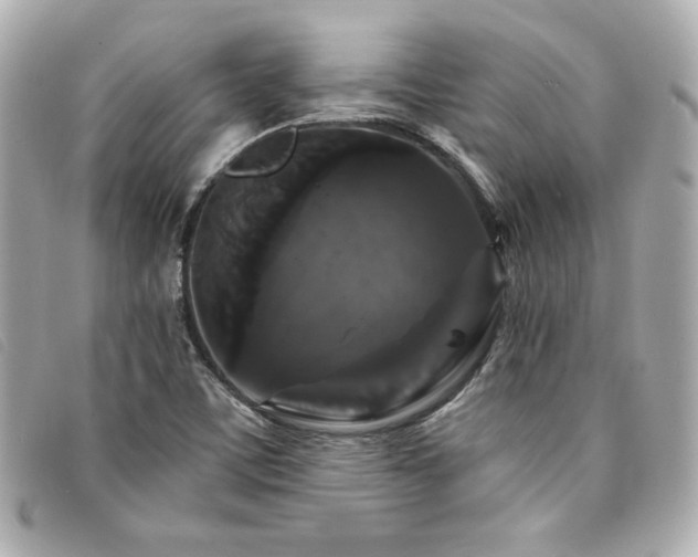 X0000094231459200710261247