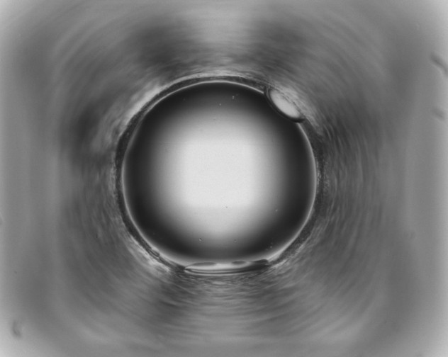 X0000094231460200710261247