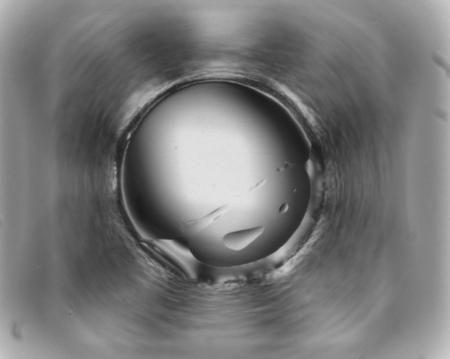 X0000094231461200710261247