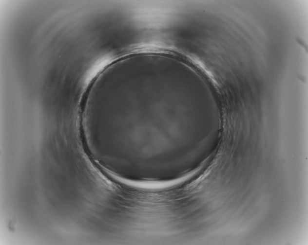 X0000094231463200710261247