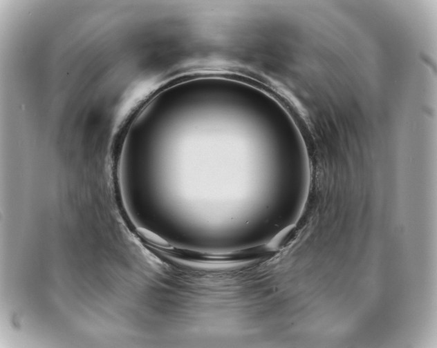 X0000094231464200710261247
