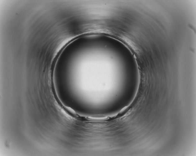 X0000094231468200710261247