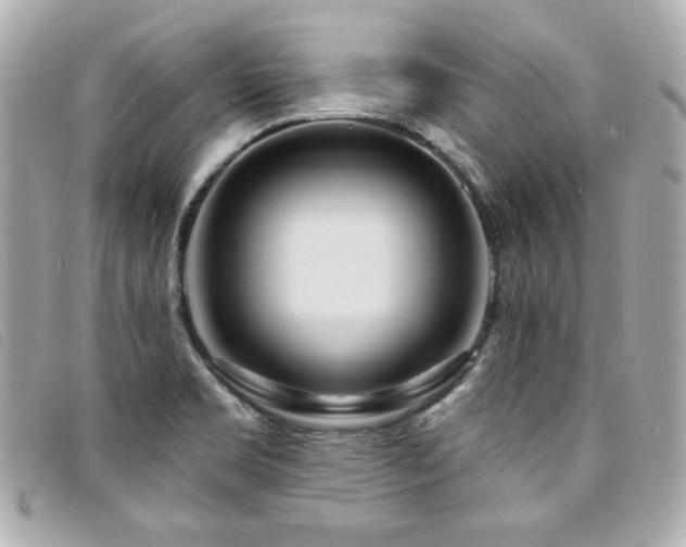 X0000094231469200710261247