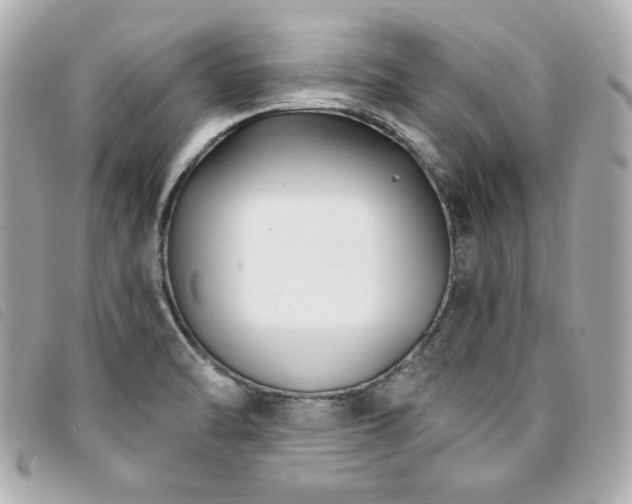 X0000094231470200710261247