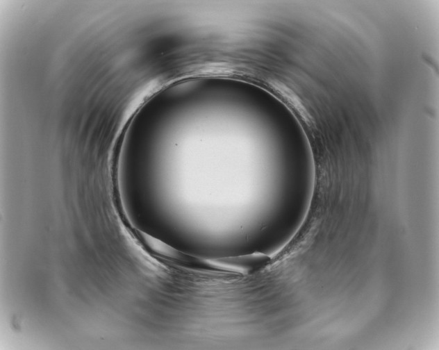 X0000094231475200710261247