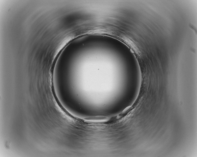 X0000094231476200710261247