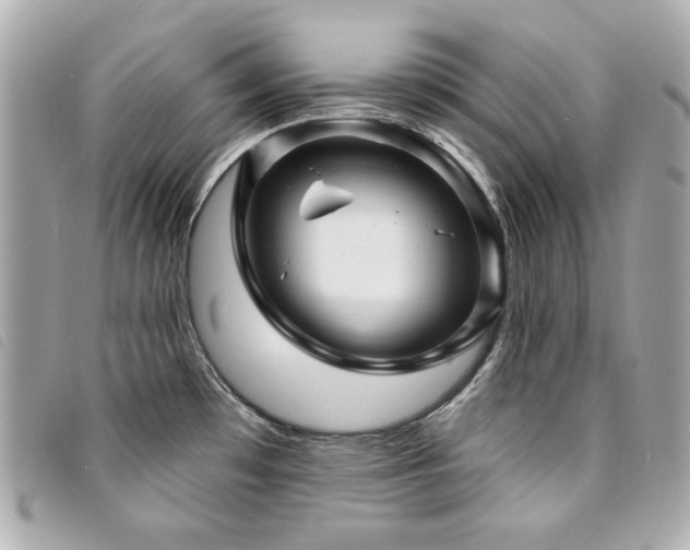 X0000094231481200710261247