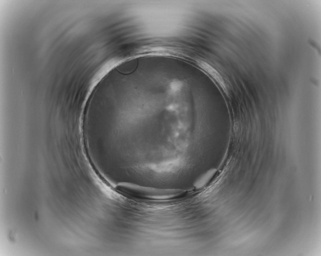 X0000094231482200710261247