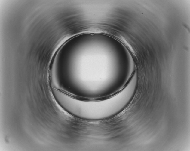 X0000094231484200710261247