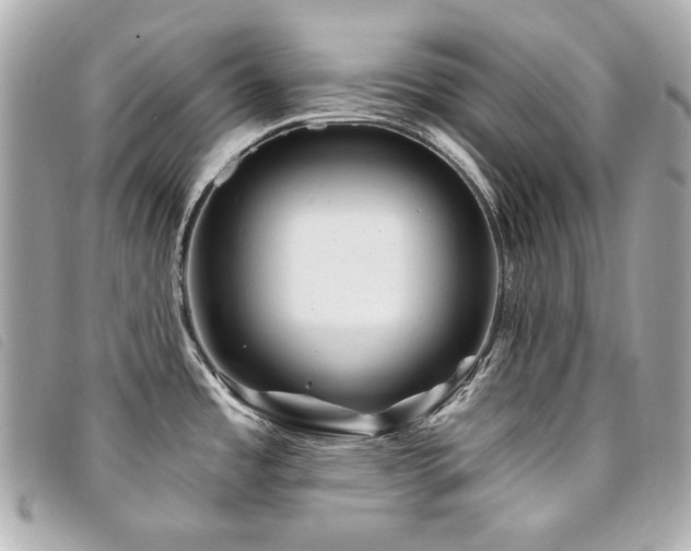 X0000094231485200710261246