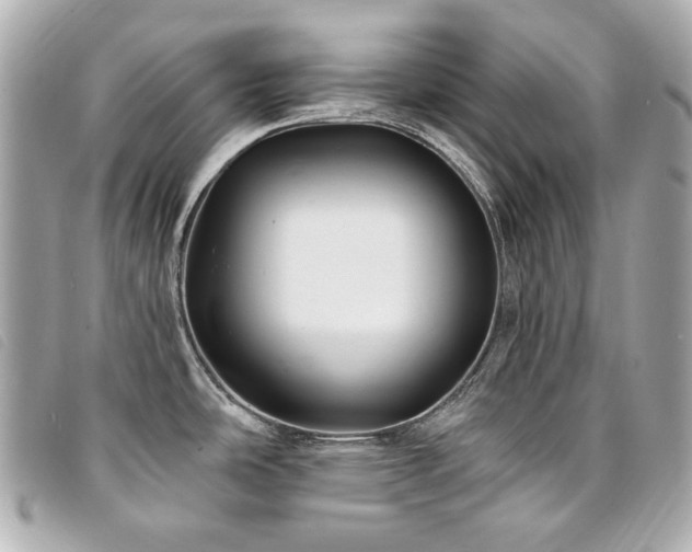 X0000094231486200710261246