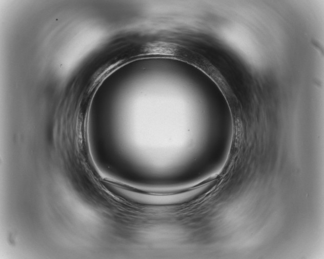 X0000094231487200710261246