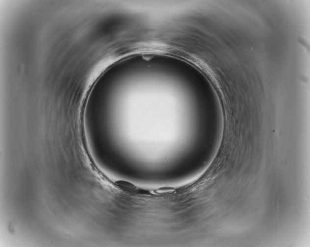 X0000094231488200710261246