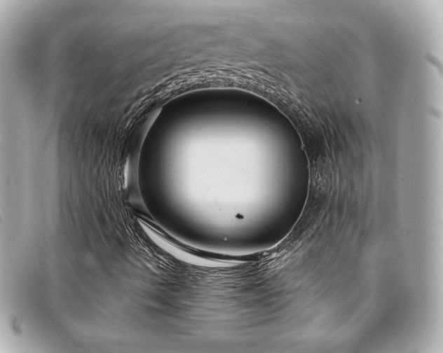 X0000094231490200710261246