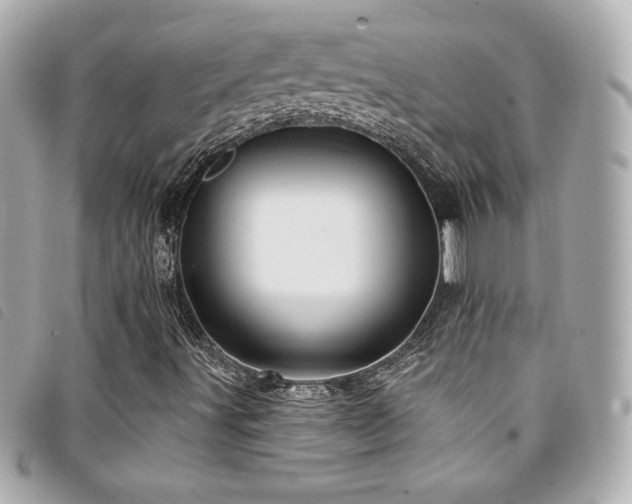 X0000094231491200710261246