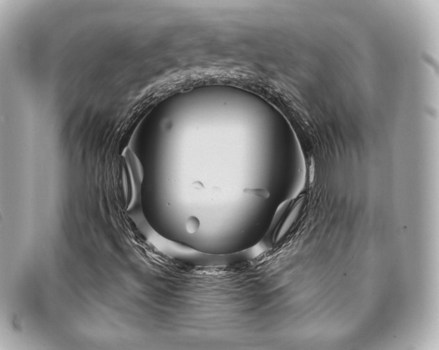 X0000094231492200710261246