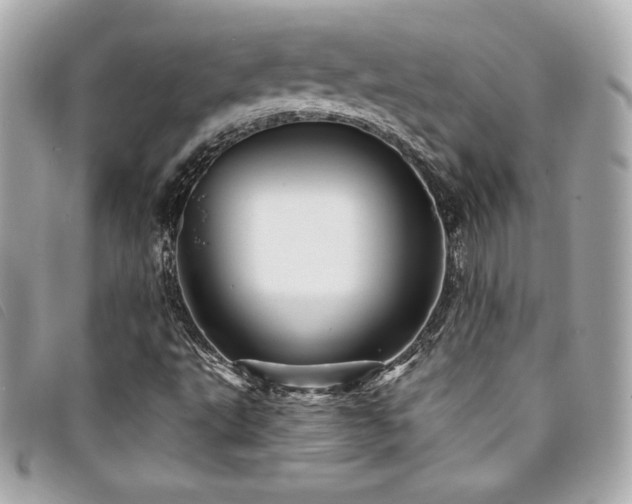 X0000094231495200710261246