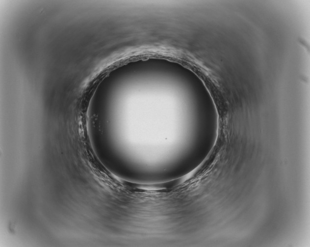 X0000094231496200710261246