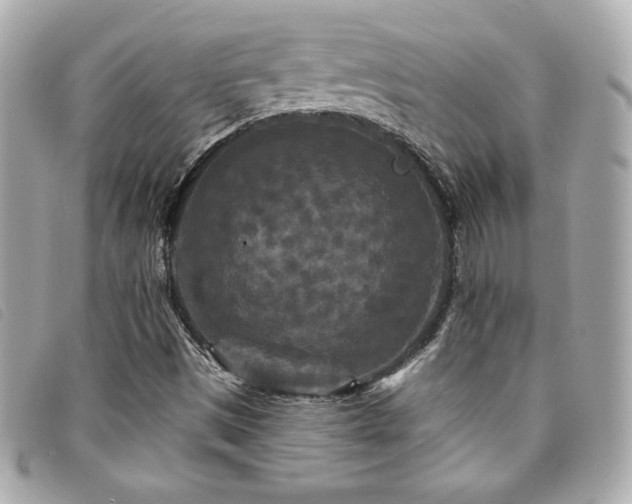 X0000094231497200710261246