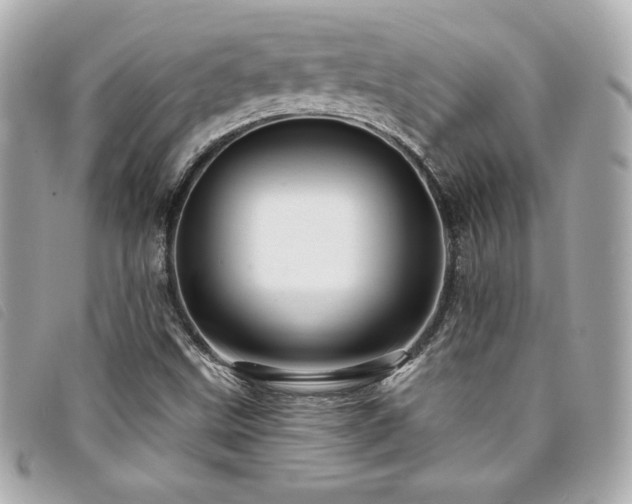 X0000094231499200710261246