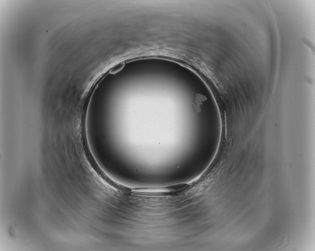 X0000094231500200710261246