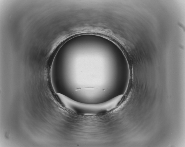 X0000094231501200710261246