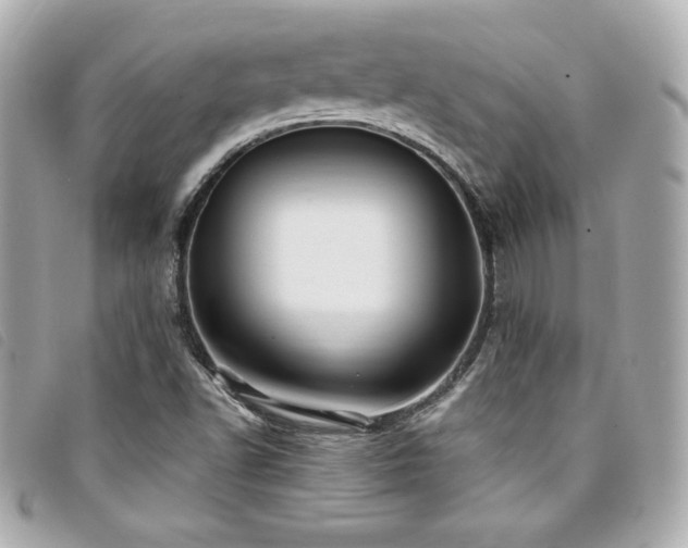 X0000094231502200710261246