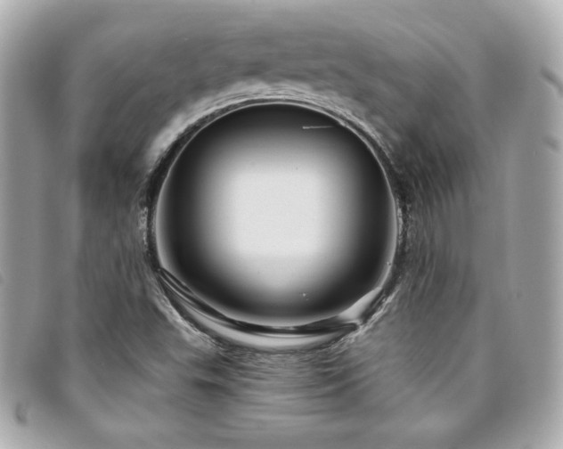 X0000094231503200710261246