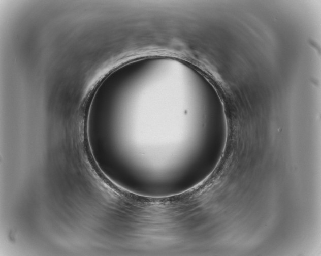 X0000094231504200710261246