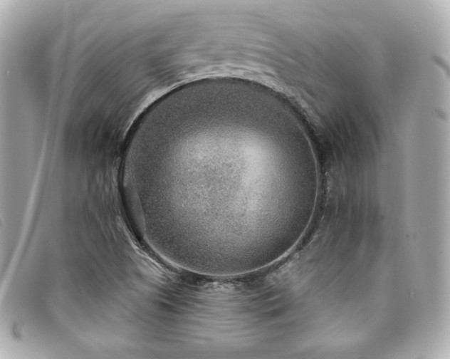 X0000094231505200710261246
