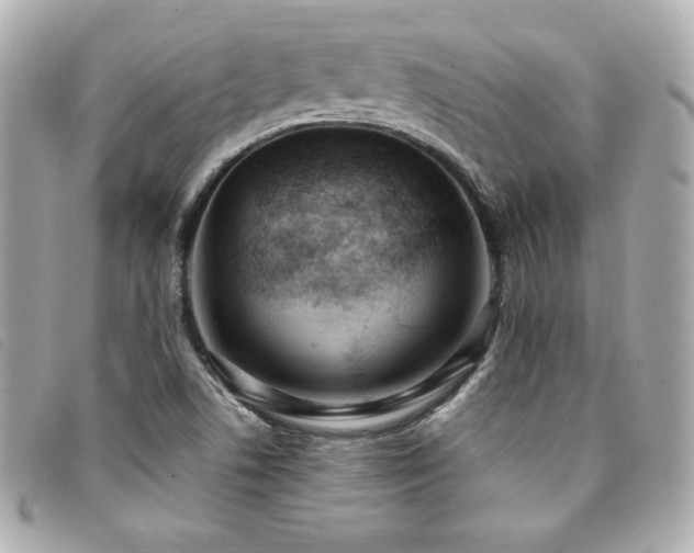 X0000094231506200710261246