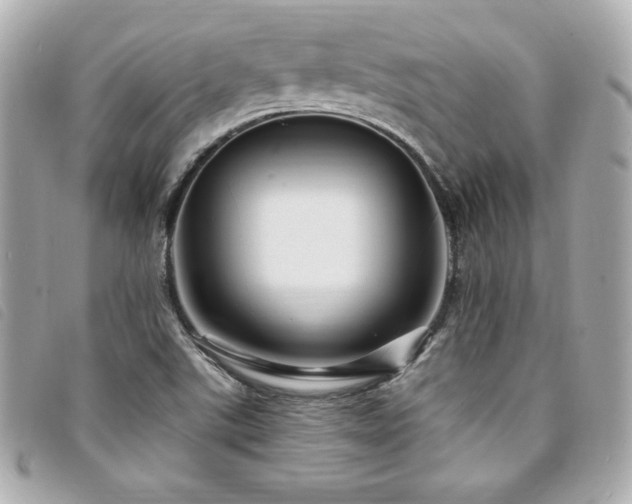 X0000094231507200710261246