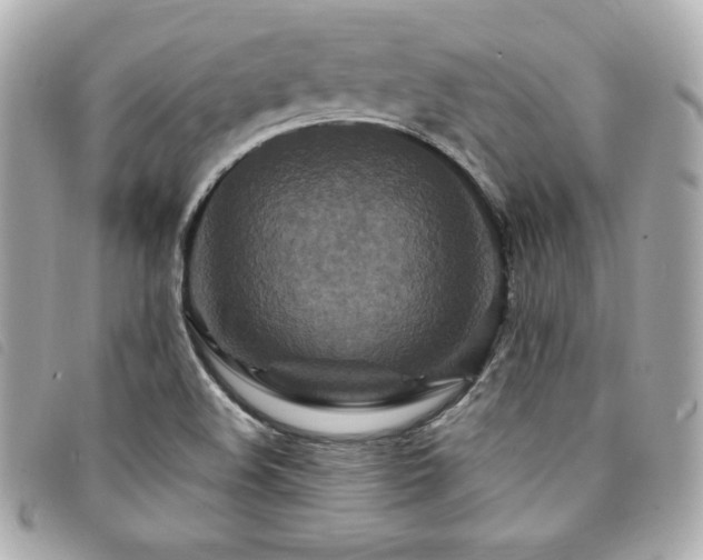 X0000094231508200710261246