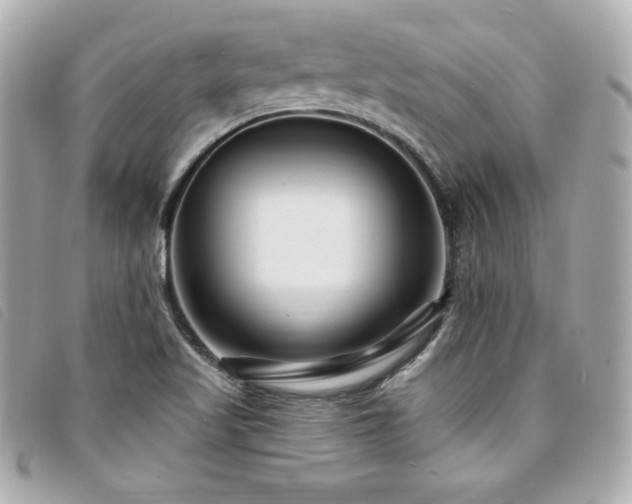 X0000094231509200710261246