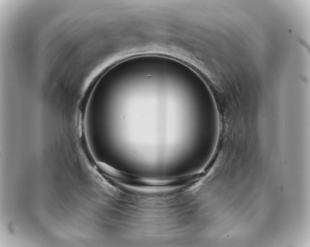 X0000094231510200710261246