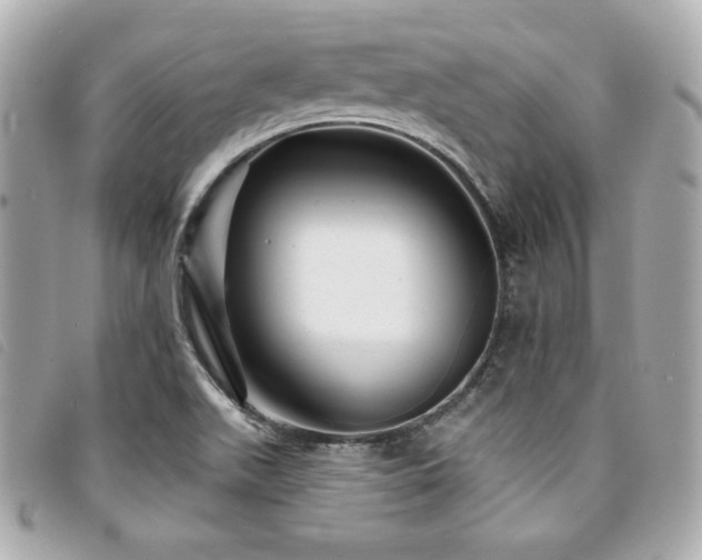 X0000094231511200710261246